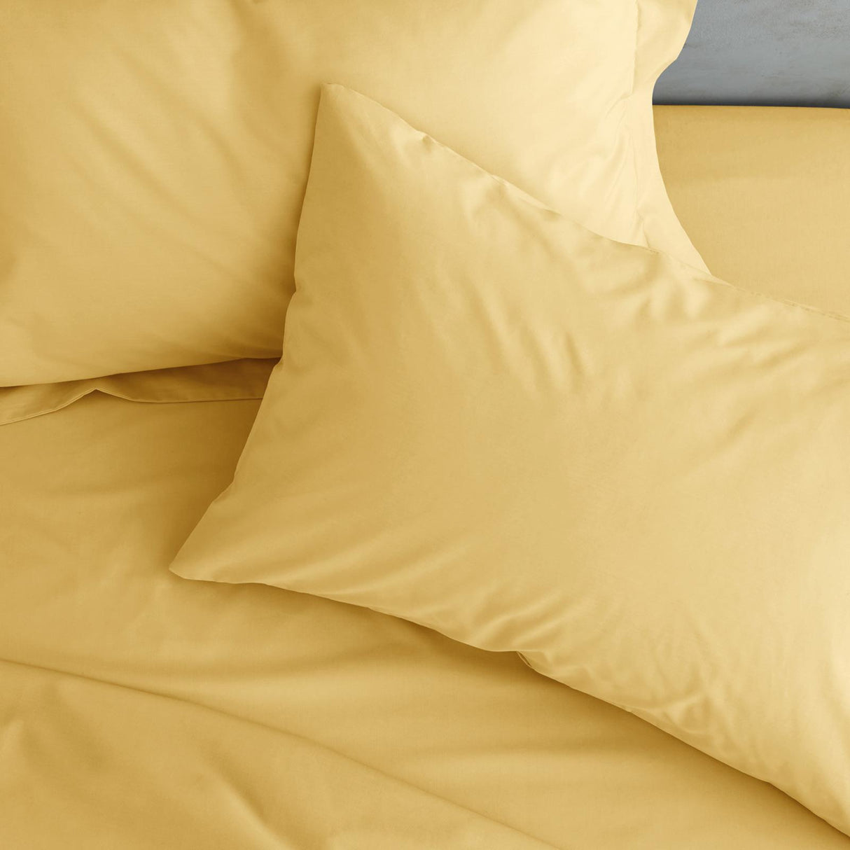 Easy Iron Percale Pillowcase Pair by Catherine Lansfield