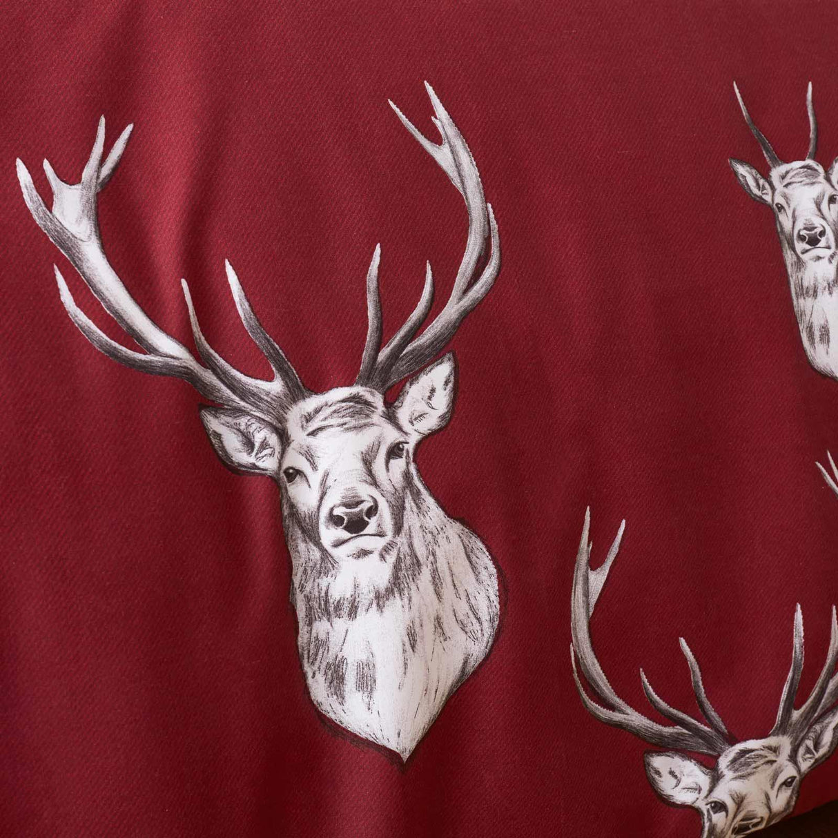 Munro Stag Check Eyelet Curtains by Catherine Lansfield