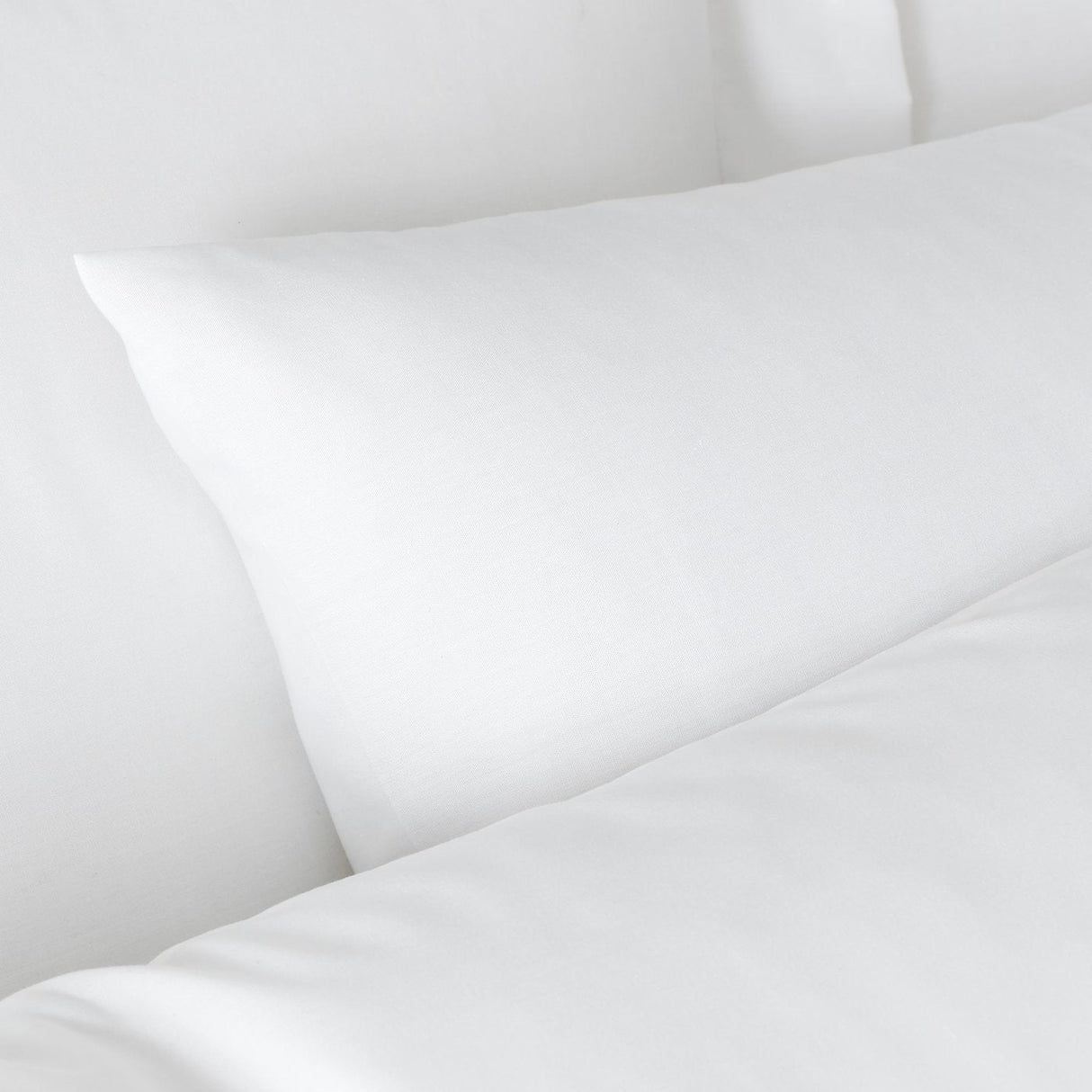 Bianca 180 Thread Count Egyptian Cotton Pillow case Pair White