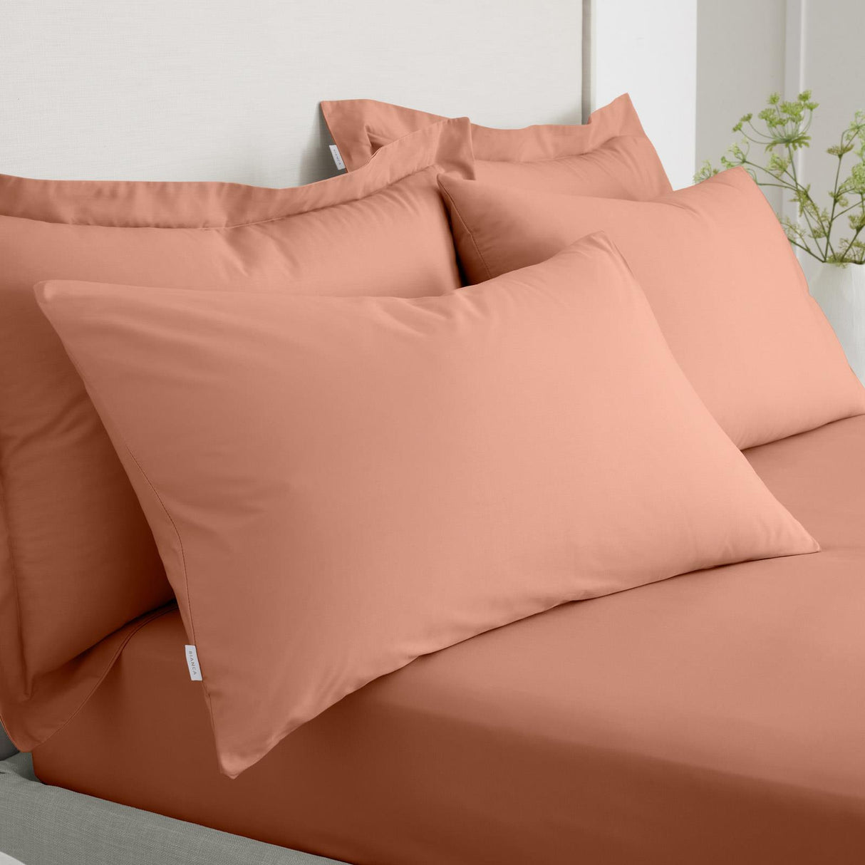 200 Thread Count Cotton Percale Oxford and Housewife Pillowcases by Bianca