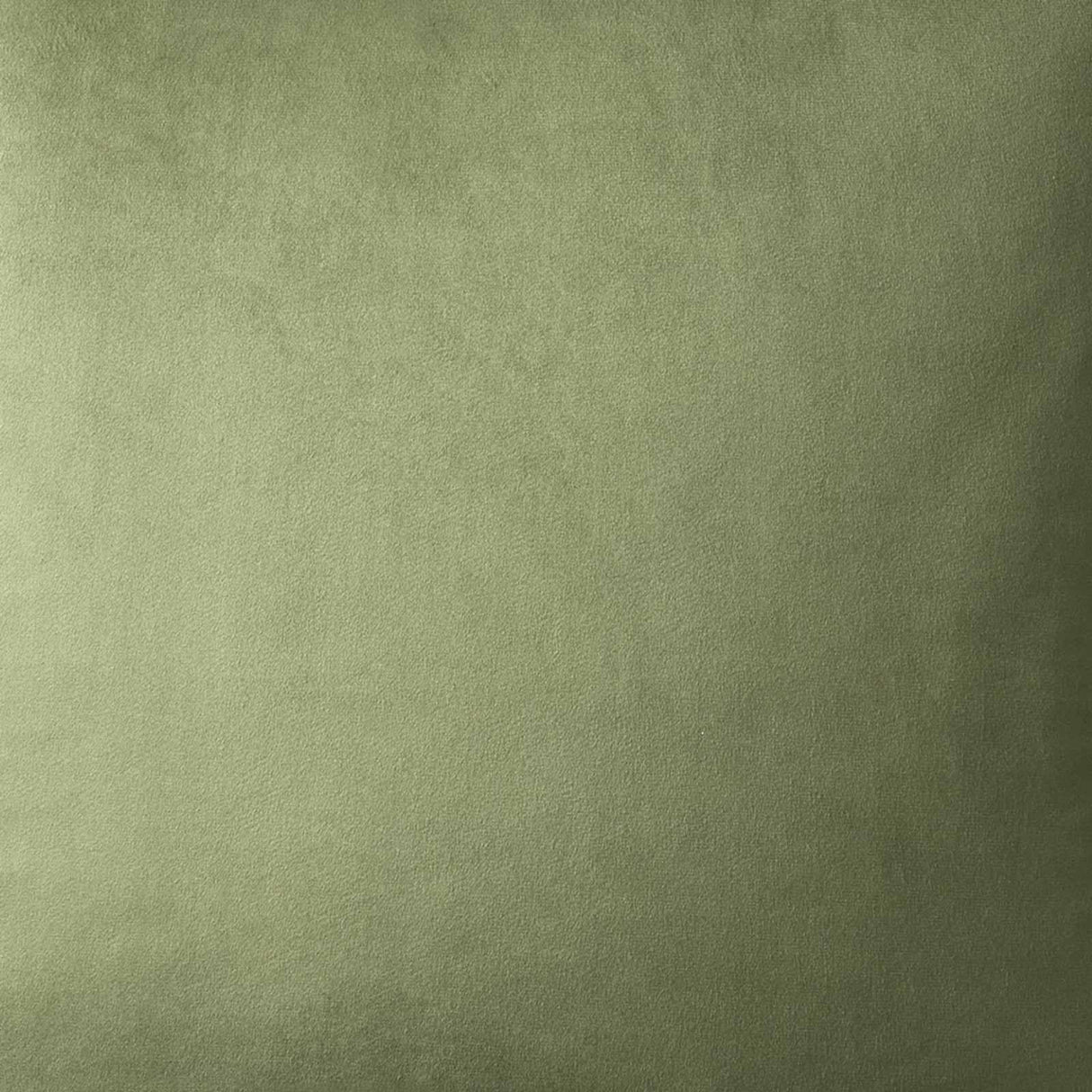 Appletree Heritage Harlan Soft Velvet Cushion Cover 55cm x 55cm 13