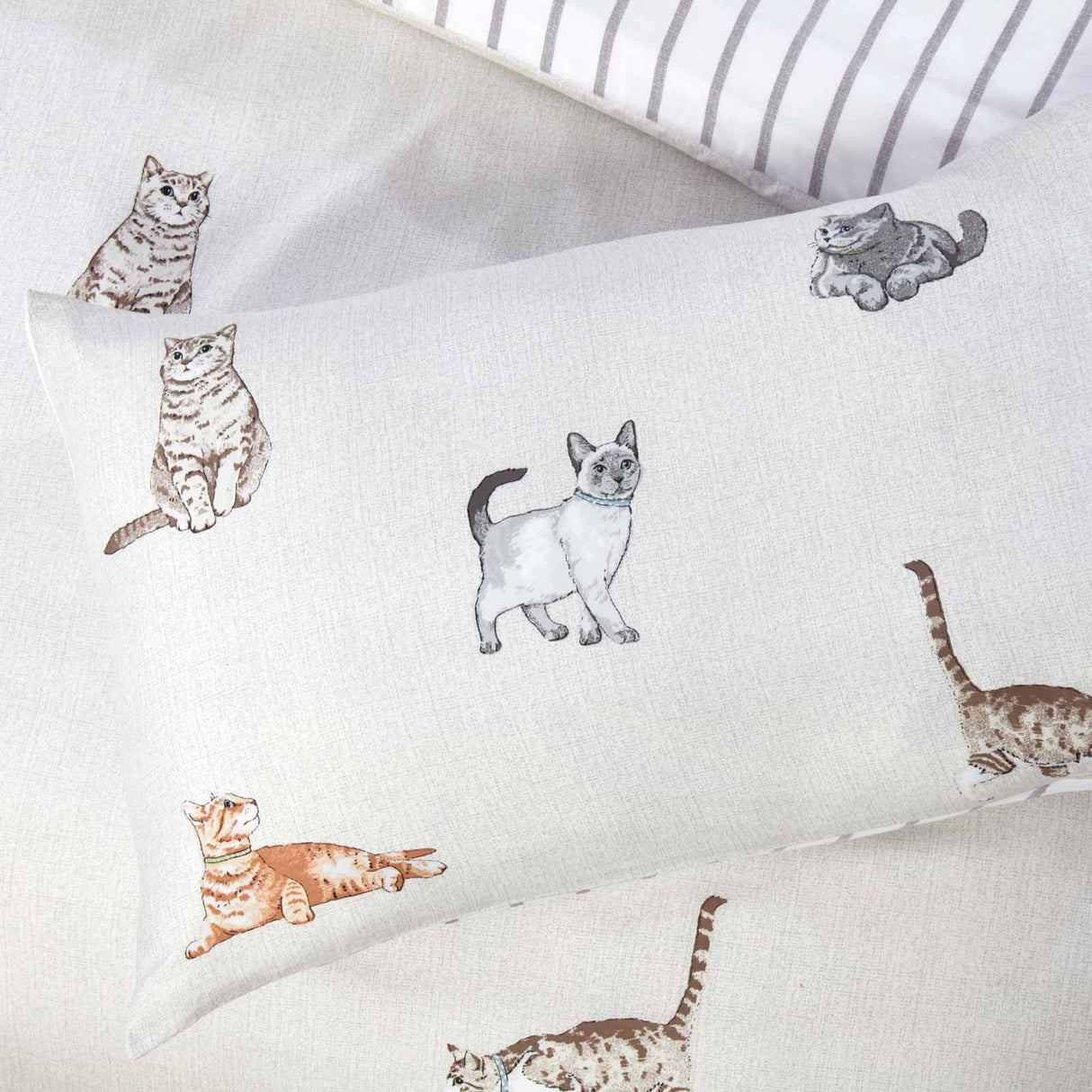 So Soft Purrrfect Duvet Cover Set by Rapport Home