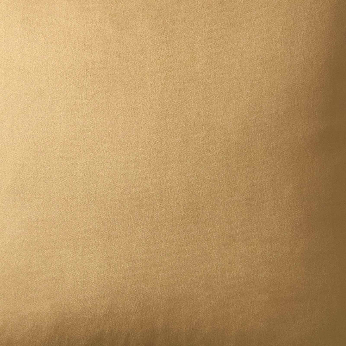 Appletree Heritage Harlan Soft Velvet Cushion Cover 55cm x 55cm 3