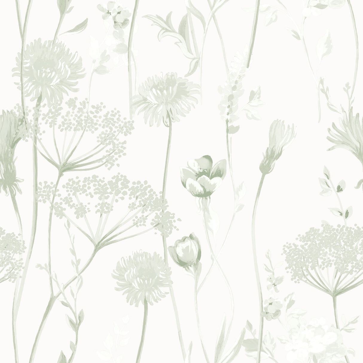 Catherine Lansfield Meadowsweet Floral Wallpaper Blue - Meadowsweet Floral Sage Green Wallpaper