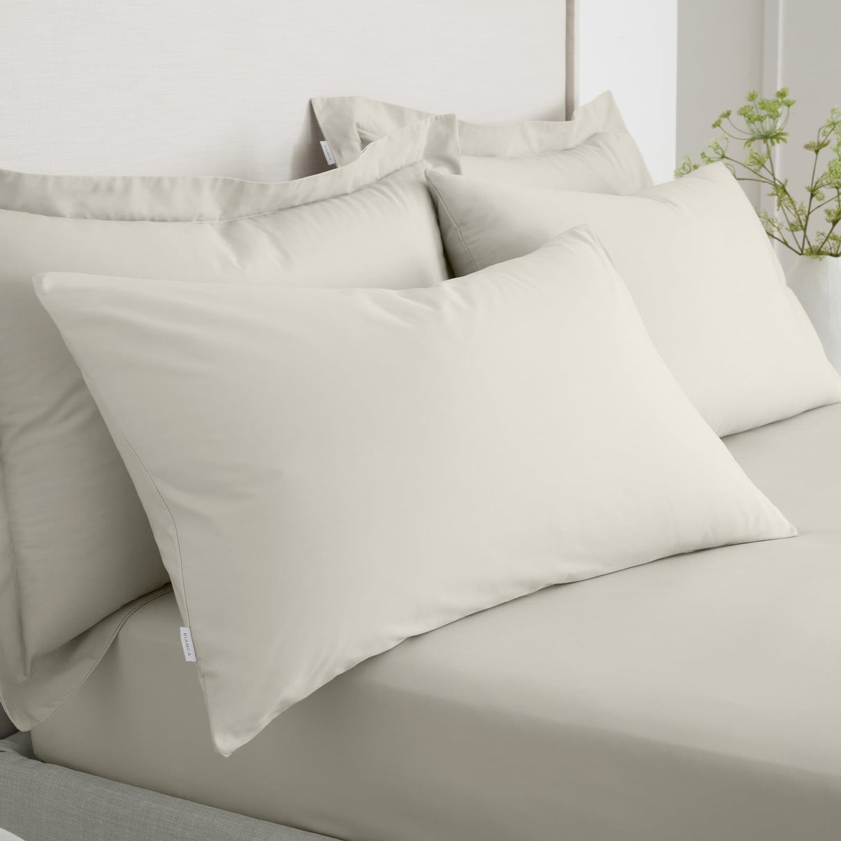Bianca Fine Linens 200 Thread Count Cotton Percale Pillowcases - 200 Thread Count Percale Standard Pillowcase Pair Natural