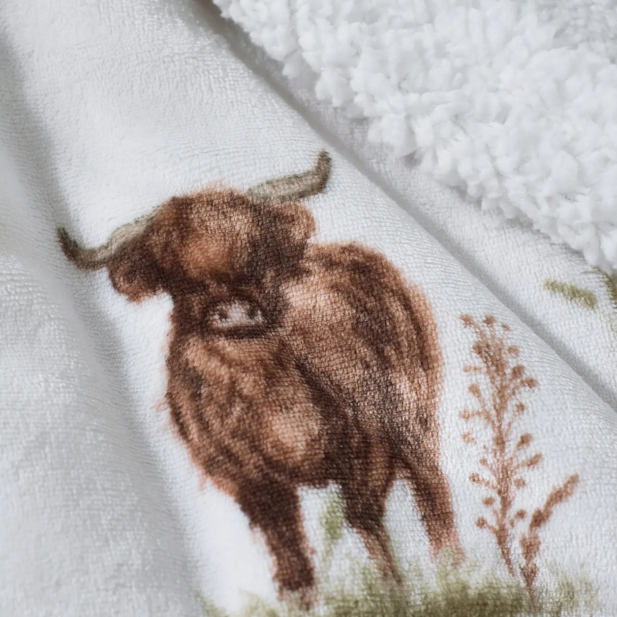 Angus Highland Cow Throw 130cm x 170cm by Catherine Lansfield