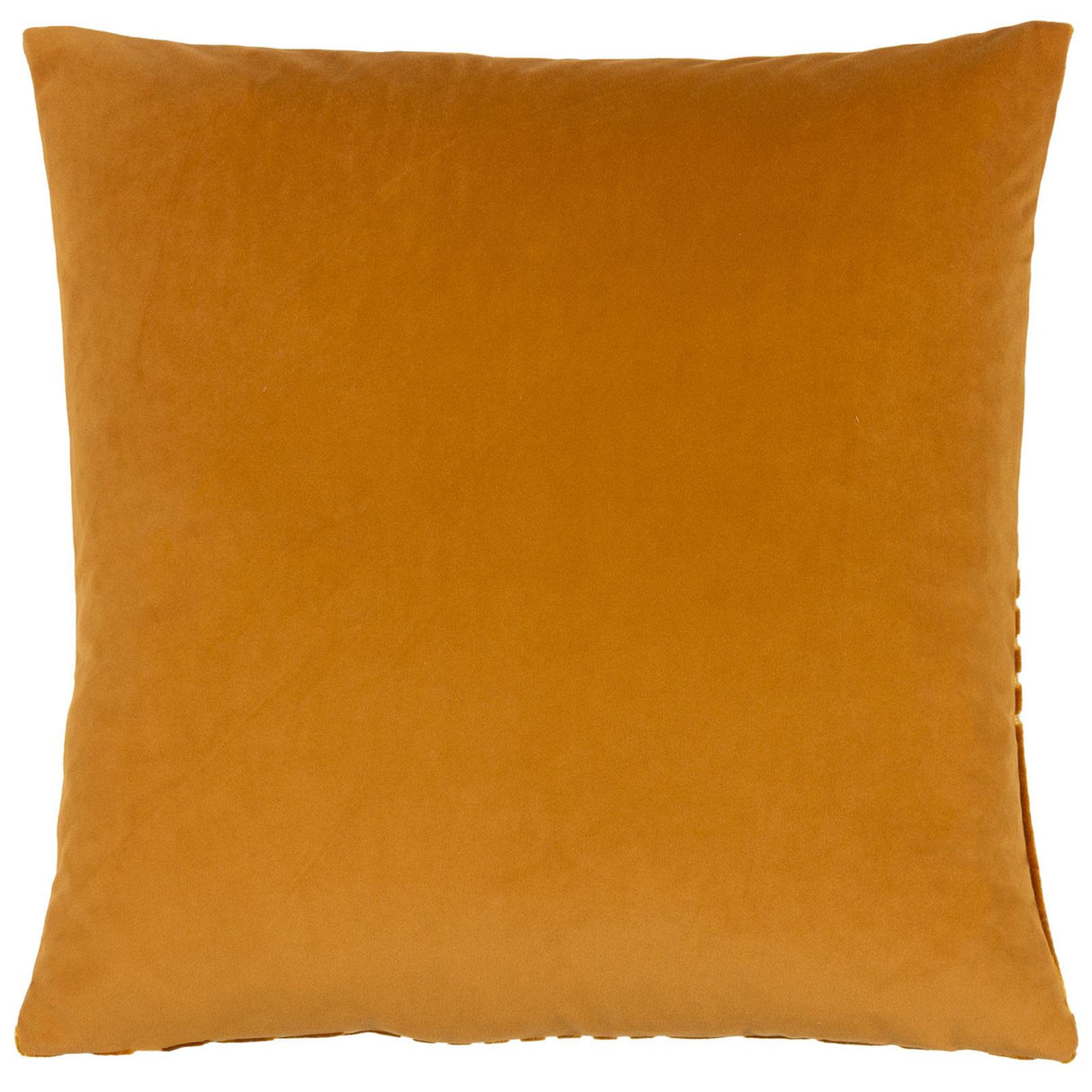 Evoke Cut Velvet Cushion Cover 18" x 18" by Paoletti 25