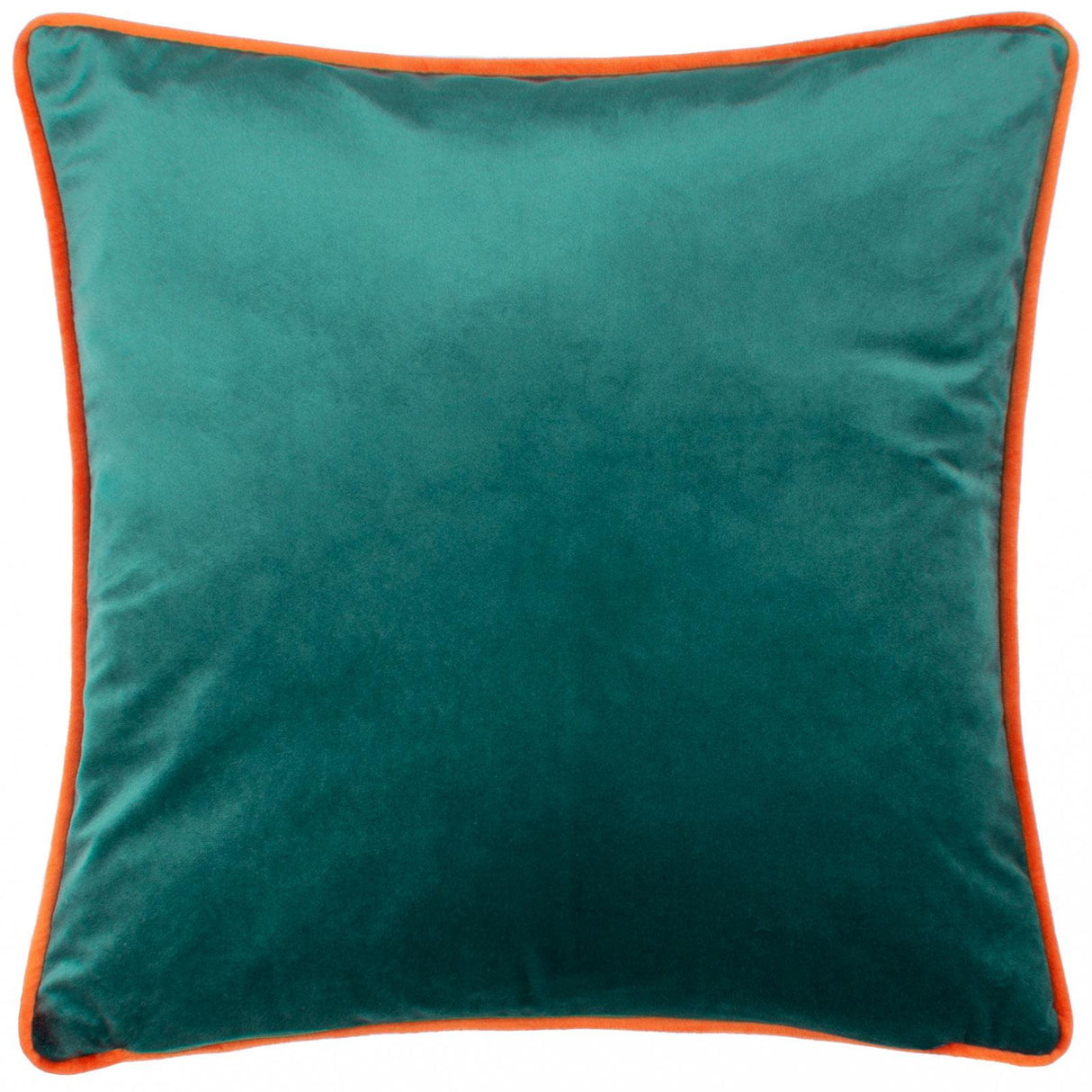 Lion Illustrated Velvet Cushion Cover 17" x 17" by Kate Merritt 4