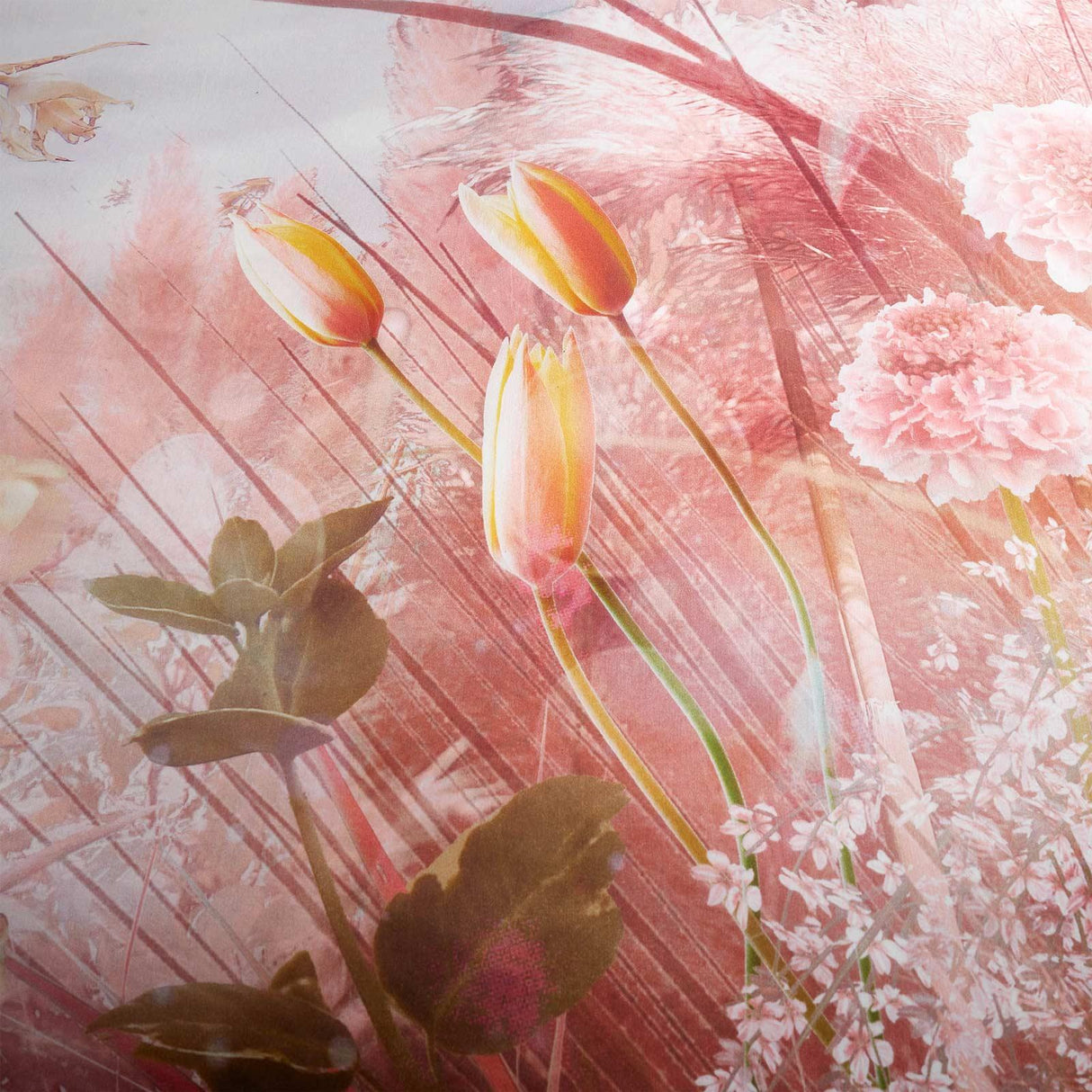 Florence Floral Cotton Sateen Duvet Cover Set