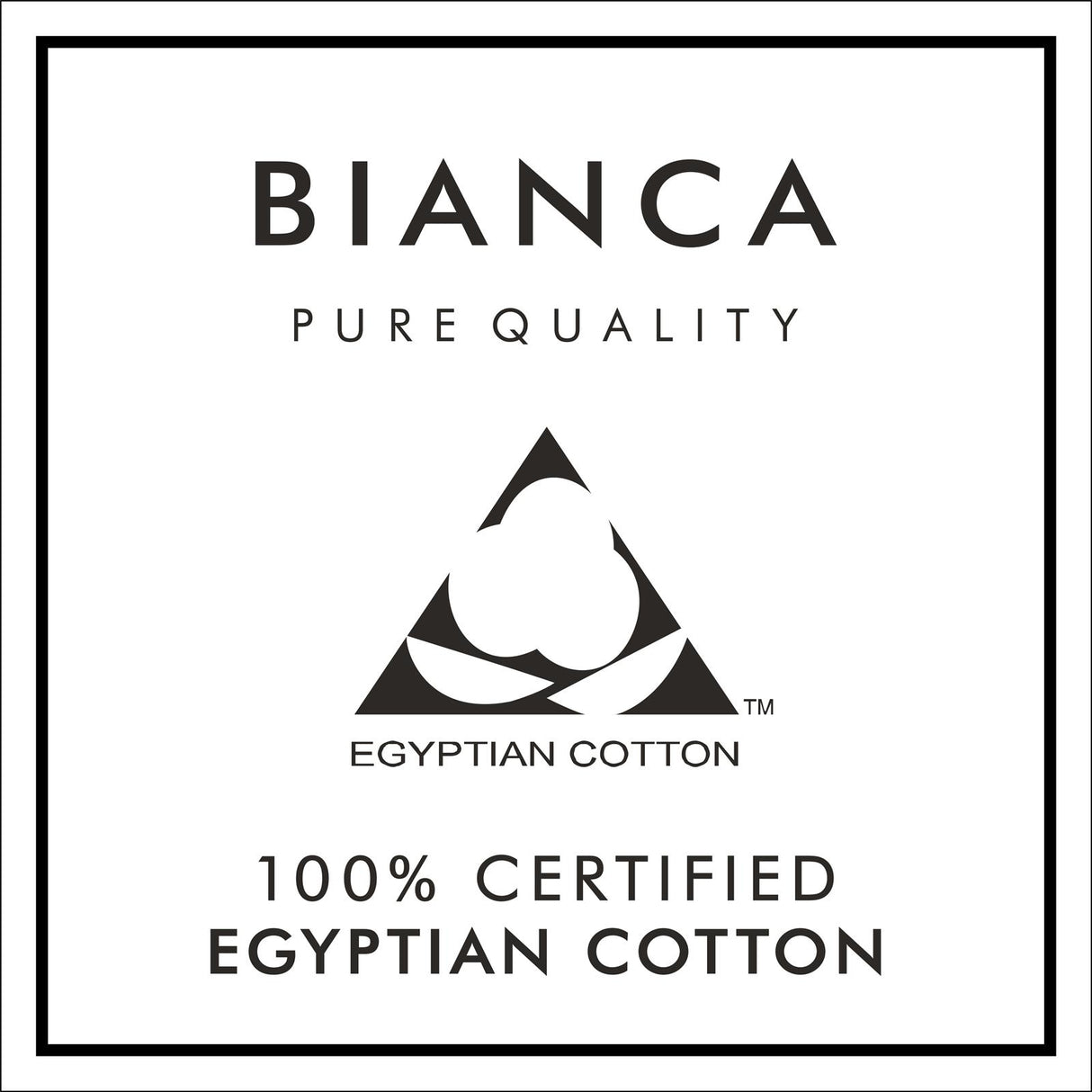 Bianca 180 Thread Count Egyptian Cotton Pillowcase