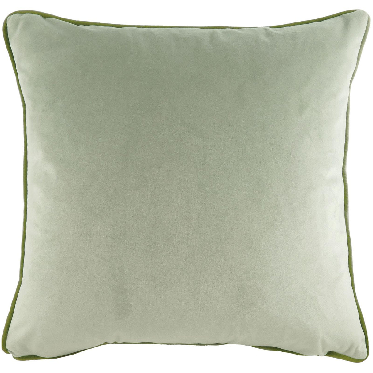 Jungle Tiger Cushion Cover by Evans Lichfield 2