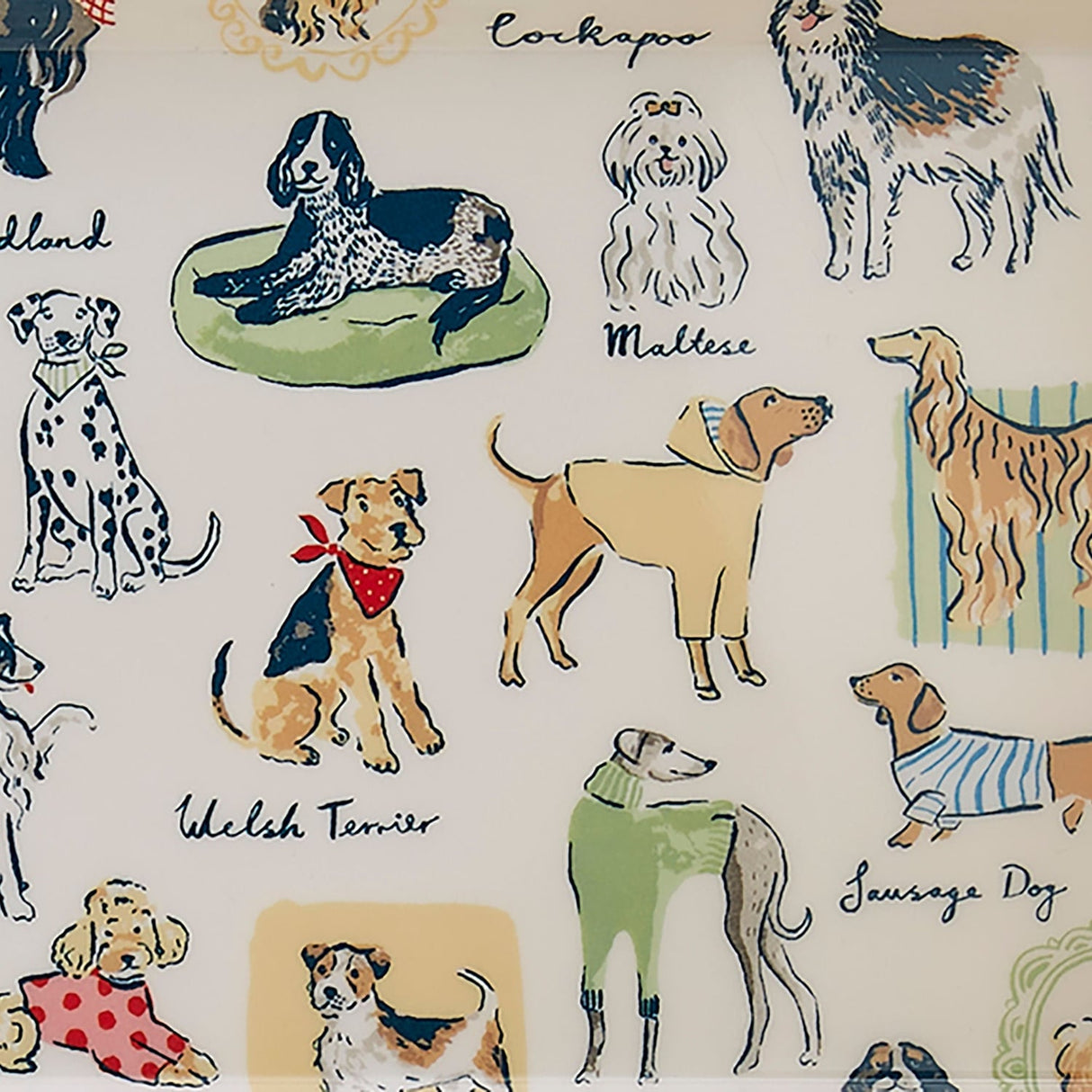 Ulster Weavers Best In Show Dog Print Small Tray - Best In Show Small Serving Tray In Multicolour 3