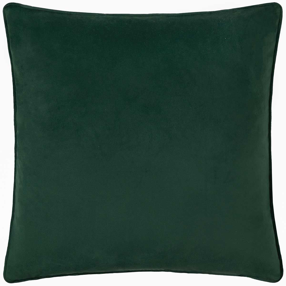 Odisha Exotic Bird Cushion Cover / Filled Cushion 17" x 17" (43cm x 43cm) by Paoletti 3