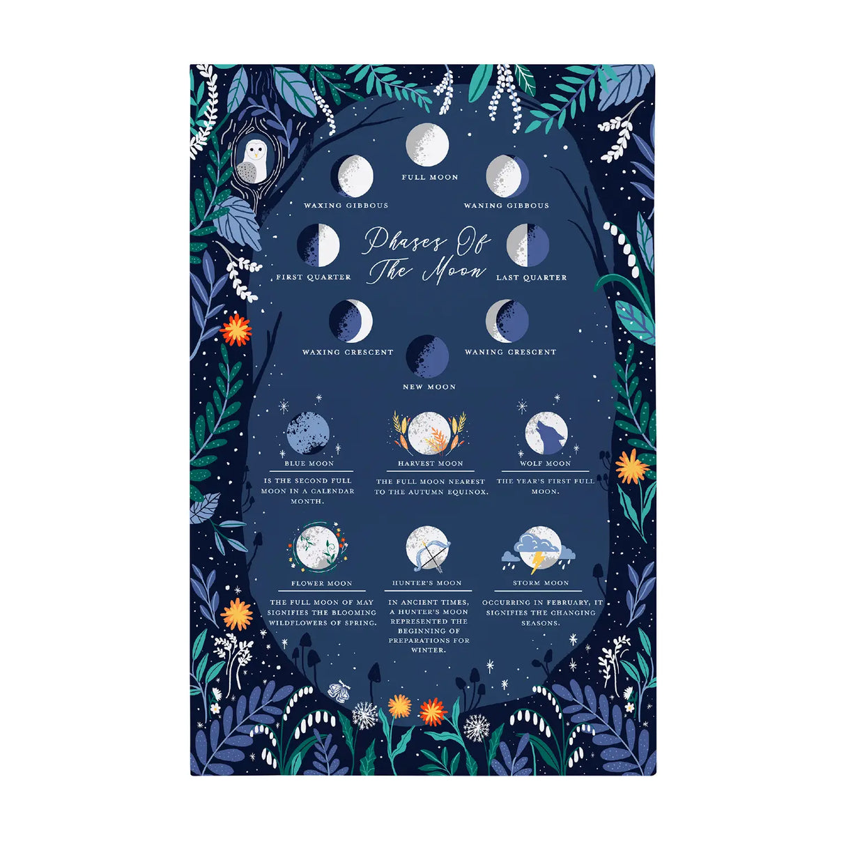 Phases of the Moon Cotton Tea Towel by Ulster Weavers