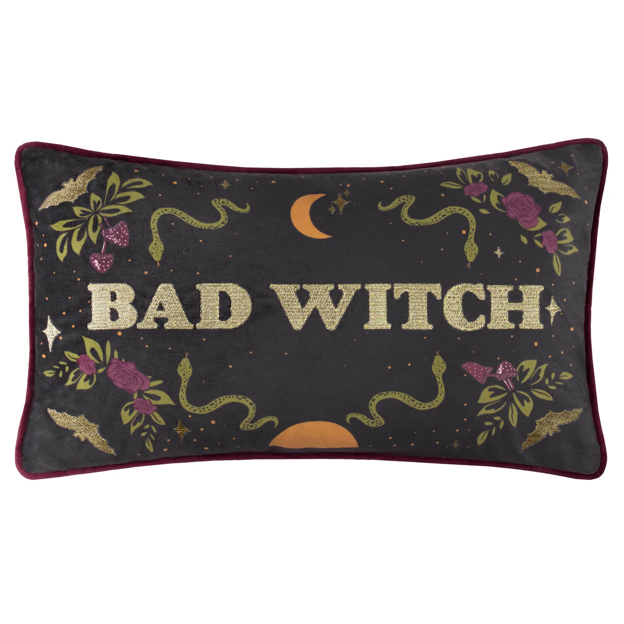 Bad Witch Embroidered Velvet Cushion Cover Black Magic 30 x 50cm - image 2