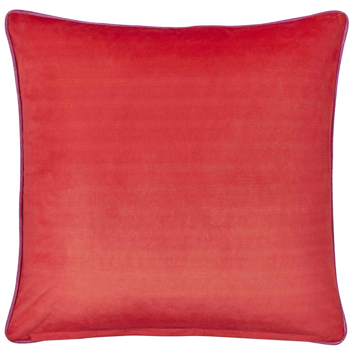 Fusion Ingo Velvet Cushion Cover 43cm x 43cm 7