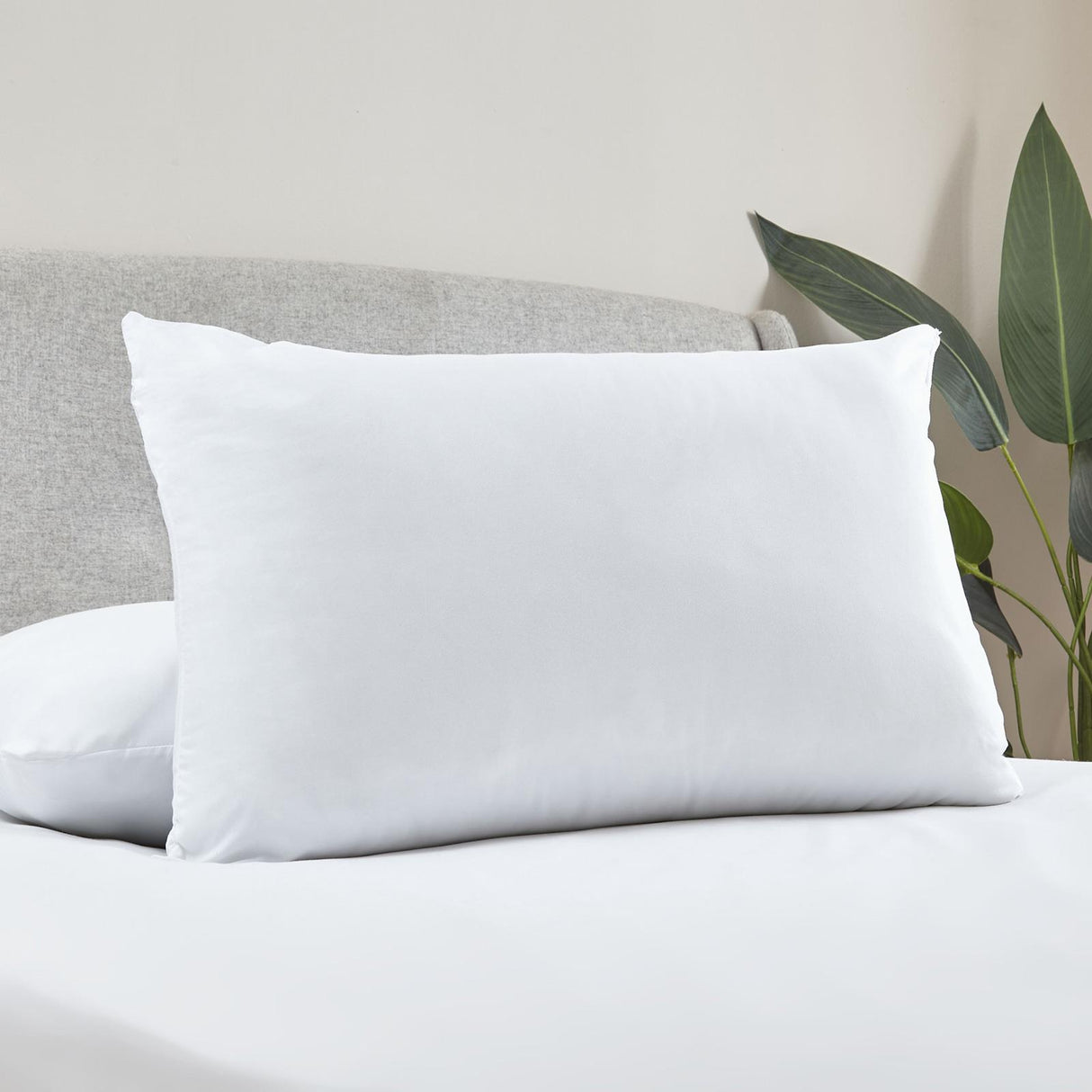 Catherine Lansfield Soft Touch Pillows