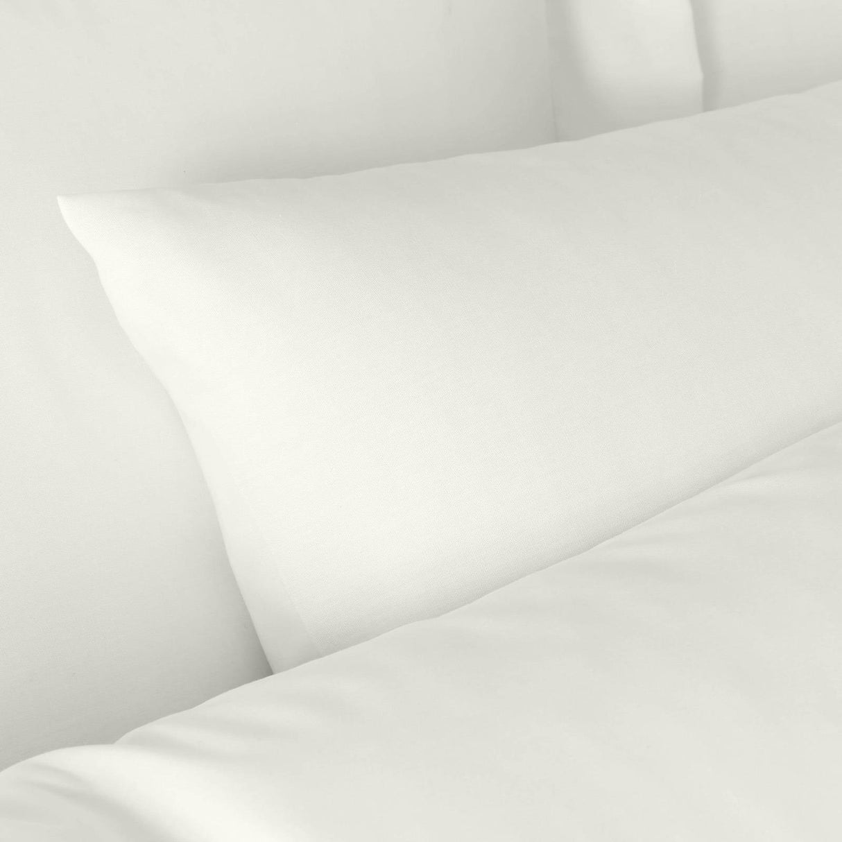 180 Thread Count Egyptian Cotton Pillowcases by Bianca