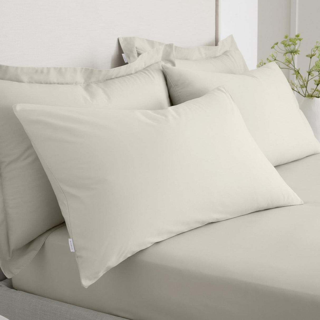200 Thread Count Cotton Percale Oxford and Housewife Pillowcases by Bianca