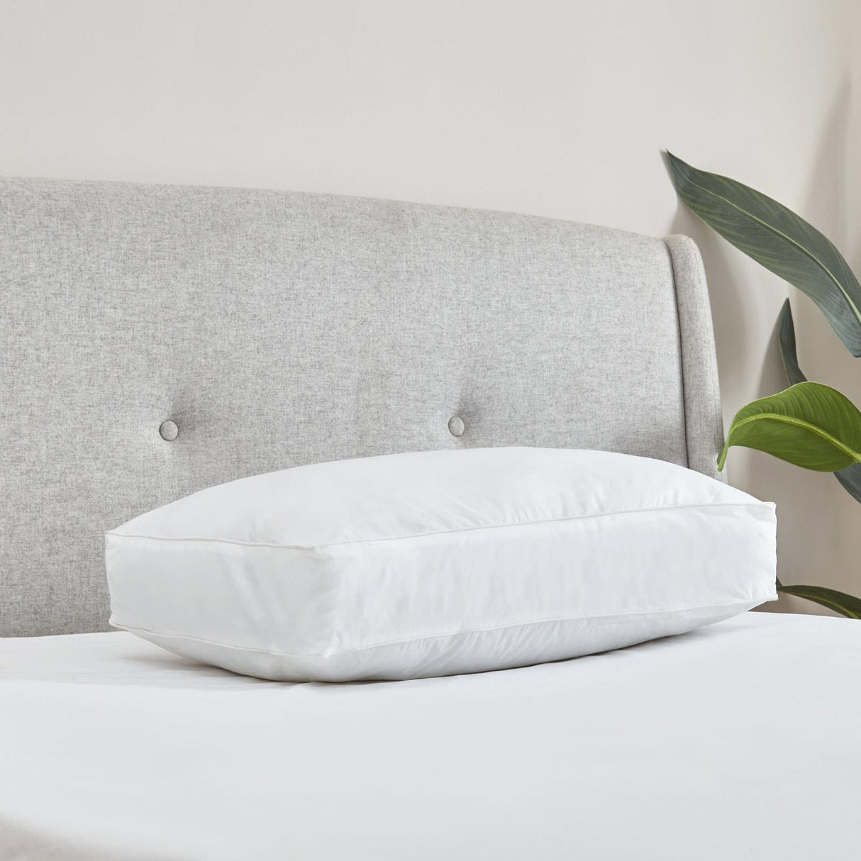 Luxury Box Pillow by Catherine Lansfield