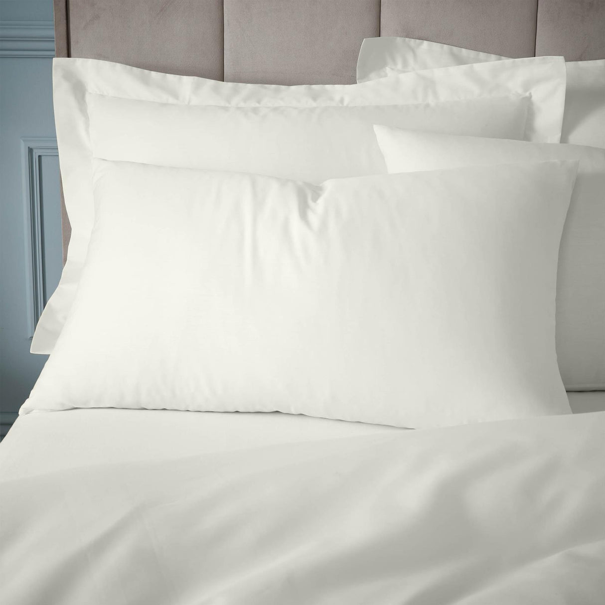 180 Thread Count Egyptian Cotton Pillowcases by Bianca