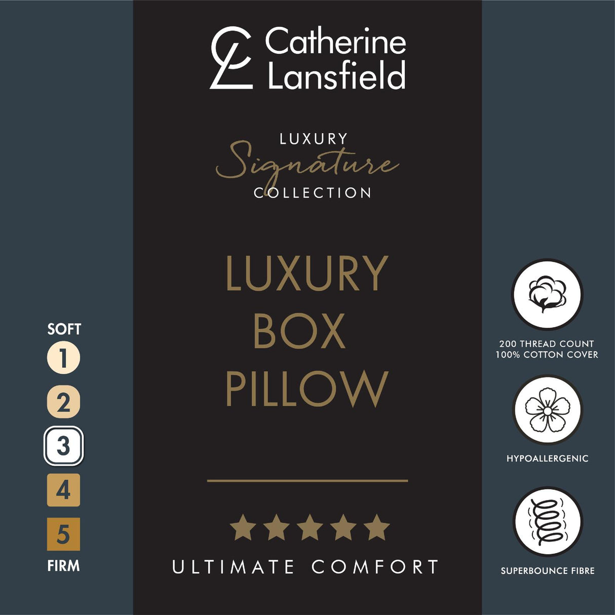 Luxury Box Pillow by Catherine Lansfield