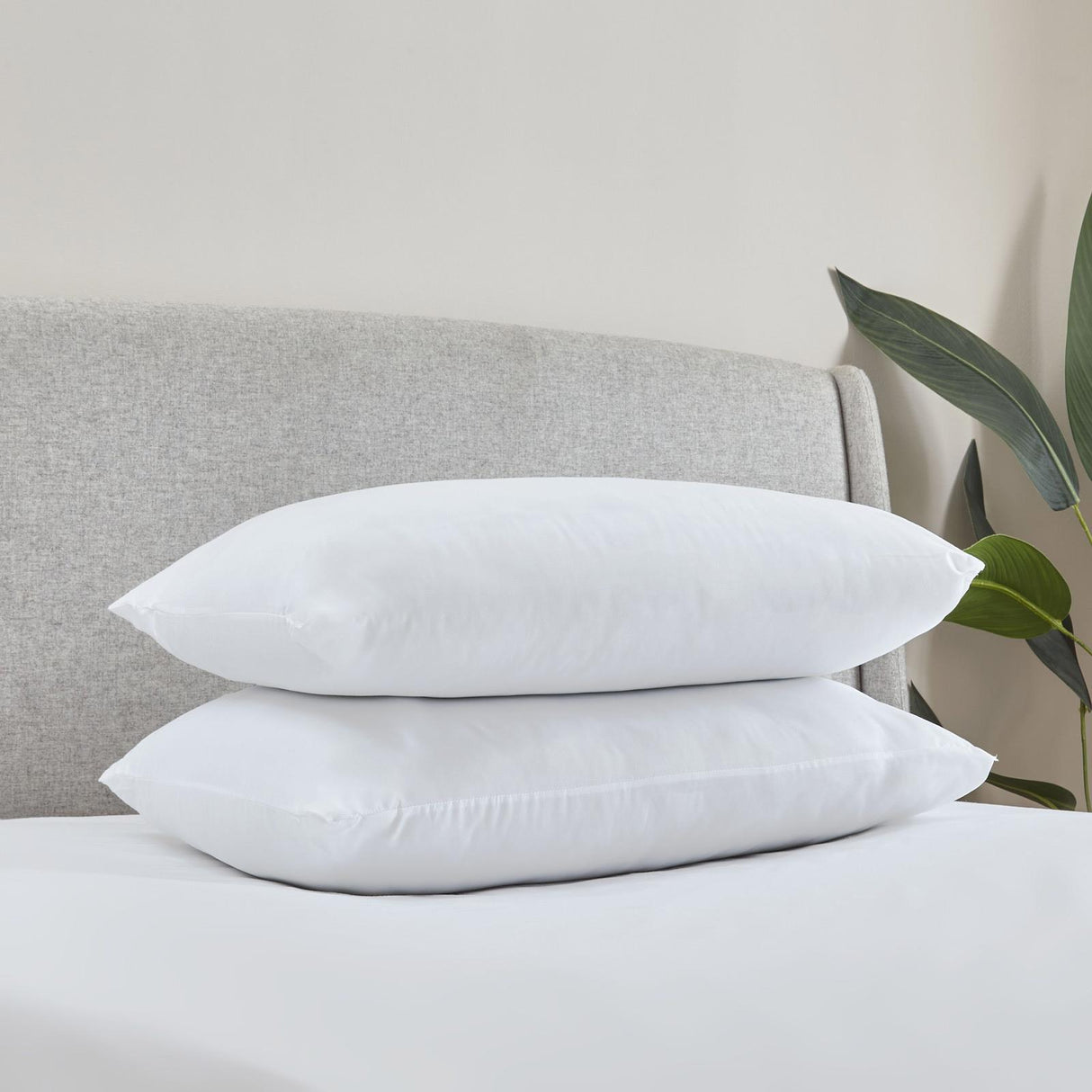 So Soft Hollowfibre Pillows by Catherine Lansfield