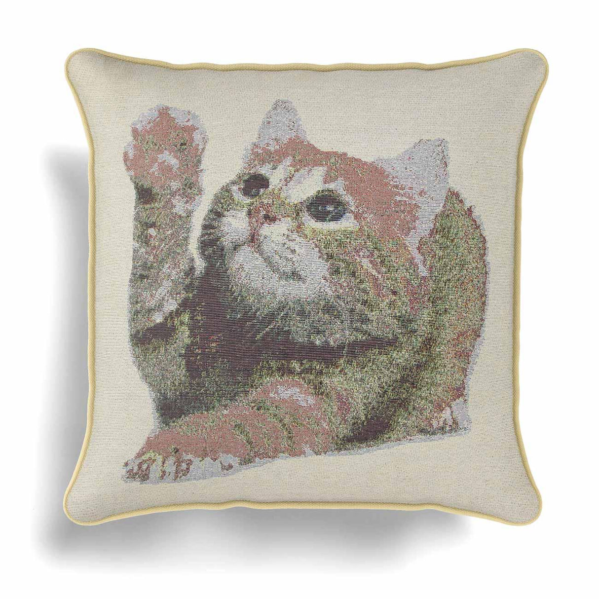 Alan Symonds Kitten Tapestry Cushion Cover 45cm x 45cm (18"x18") Cushion Cover Alan Symonds