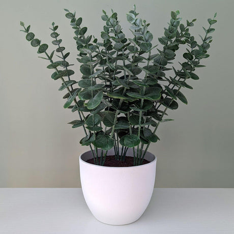 Excellent Home Accessories