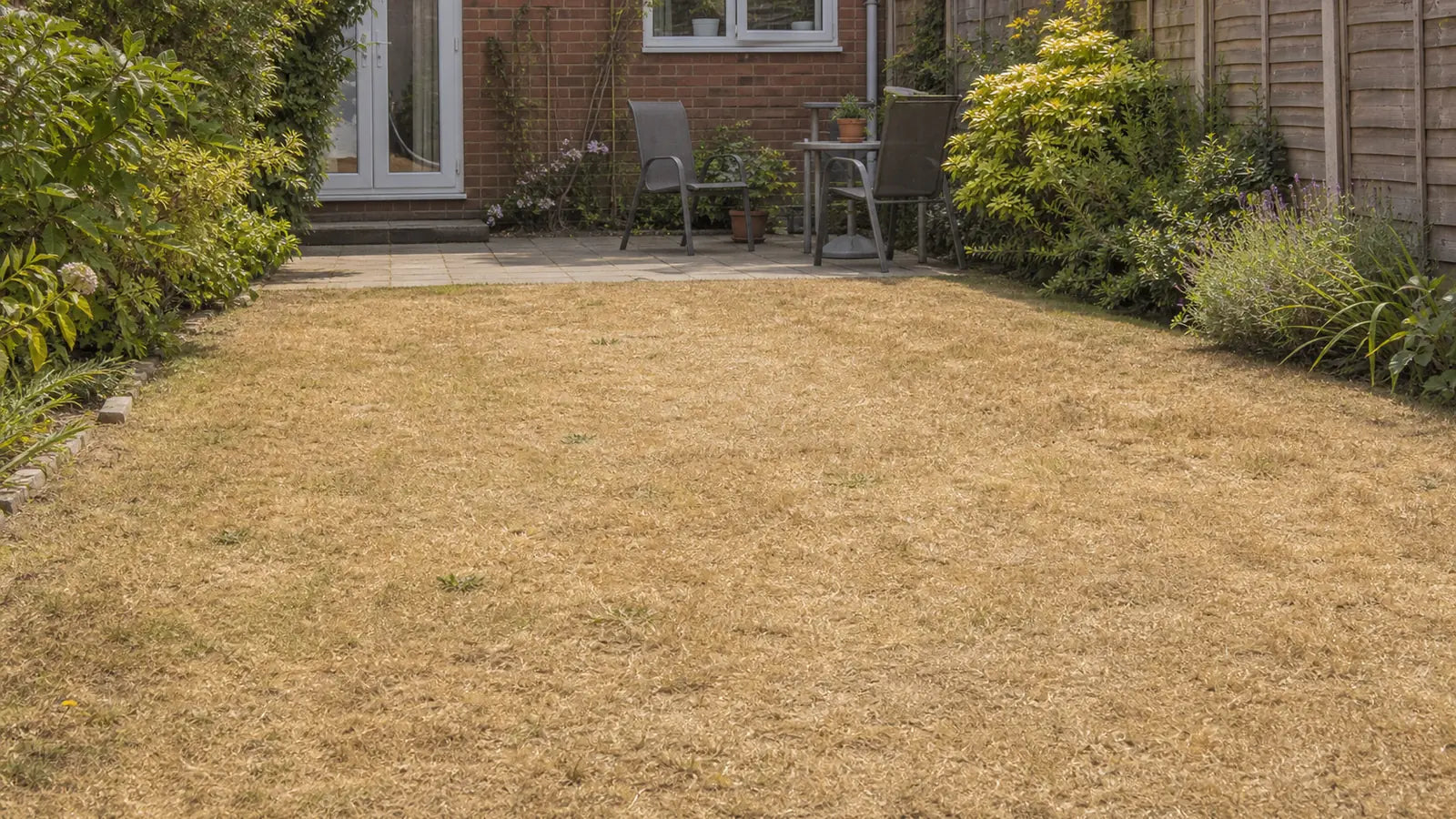 A British back garden with a dry brown lawn during summer weather