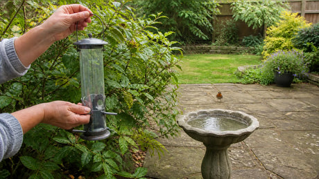 A clean hanging bird feeder and fresh bird bath in a summer garden