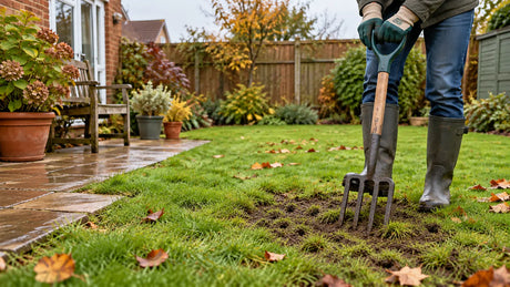 A homeowner aerating one compacted patch of a British lawn with a garden fork in autumn