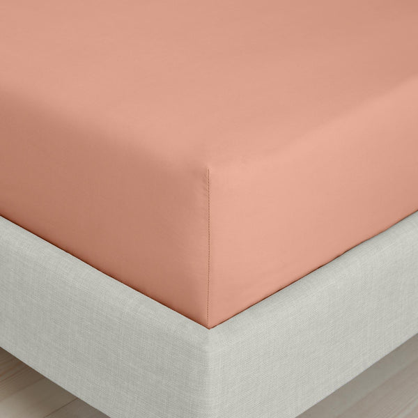 200TC Cotton Percale Fitted Sheet Clay