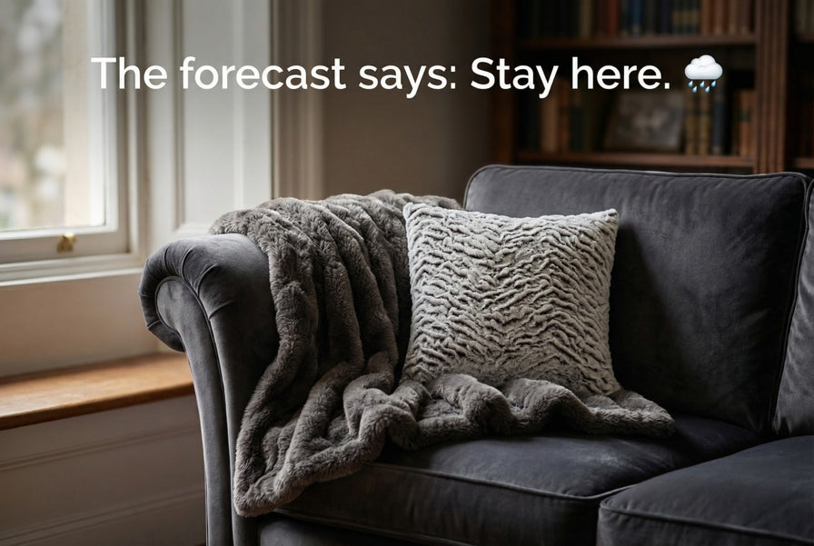 the forecast says stay here