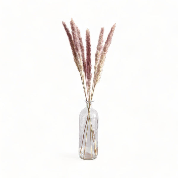 Dried Pampas Grass in Glass Vase