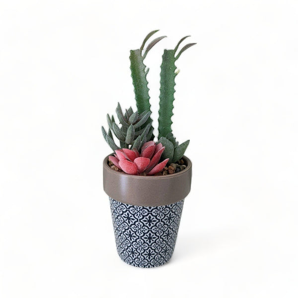 Mojave Artificial Succulent Plant in Tile Pot
