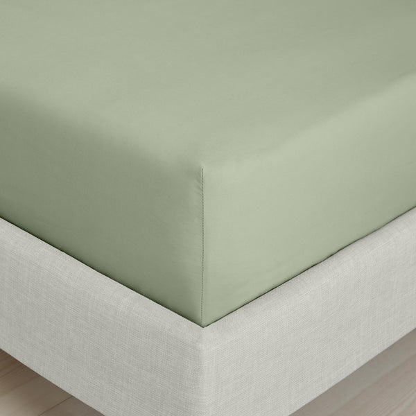 200TC Cotton Percale Fitted Sheet Sage Fitted Sheet Bianca Single  