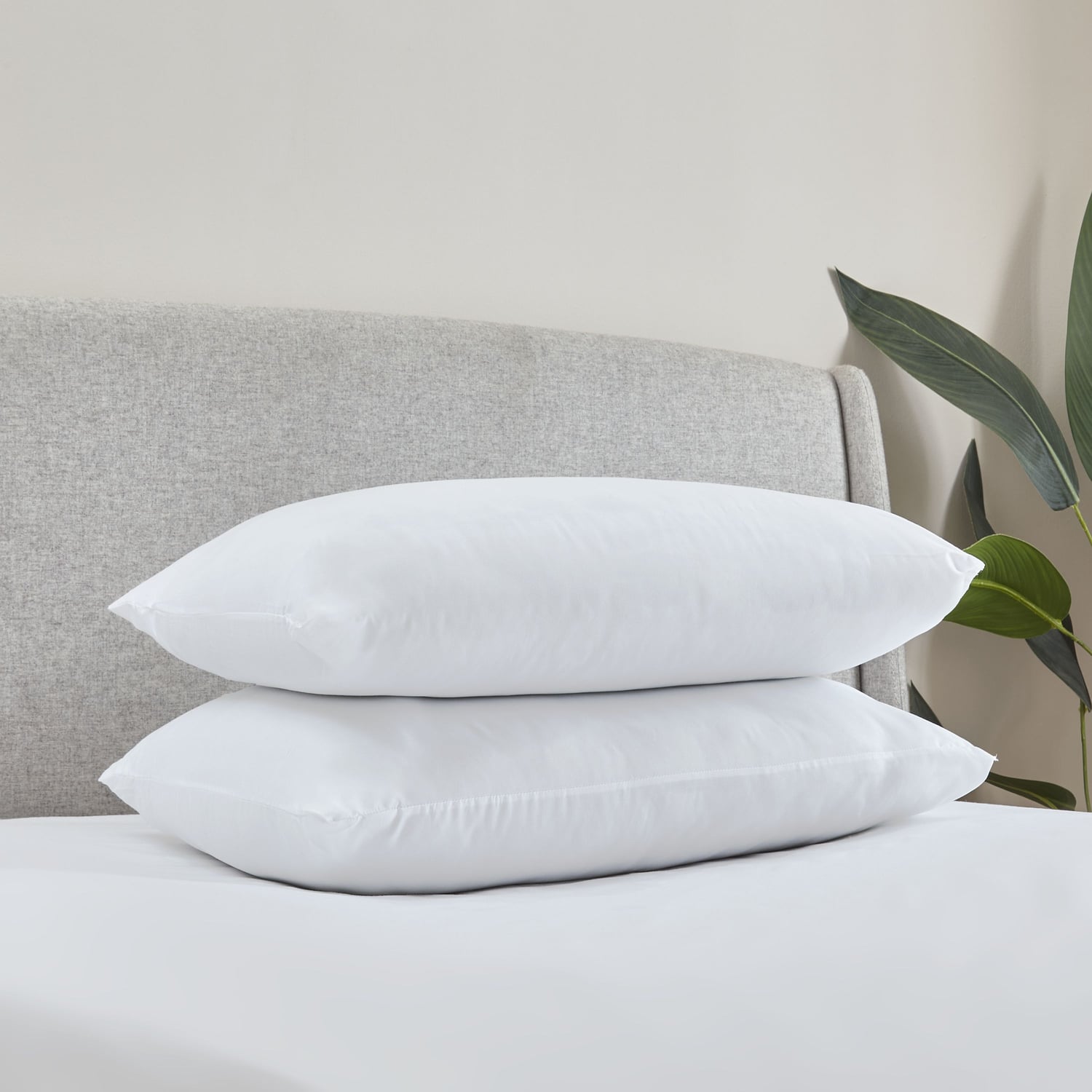 Catherine Lansfield Soft Touch Microfibre Pillow Pair - Soft Touch Microfibre Pillow Pair