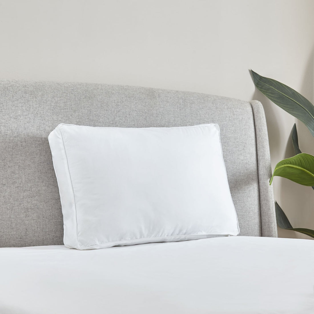 Catherine Lansfield Luxury Box Pillow