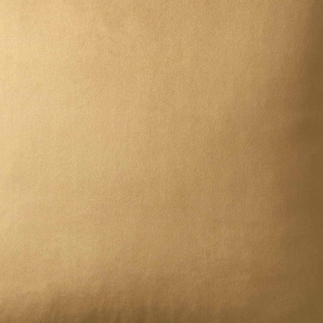 Harlan Velvet Cushion Cover 22" x 22" (55cm x 55cm) by Appletree Heritage