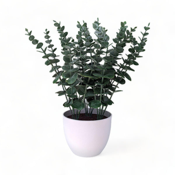 Artificial Eucalyptus Plant in White Pot