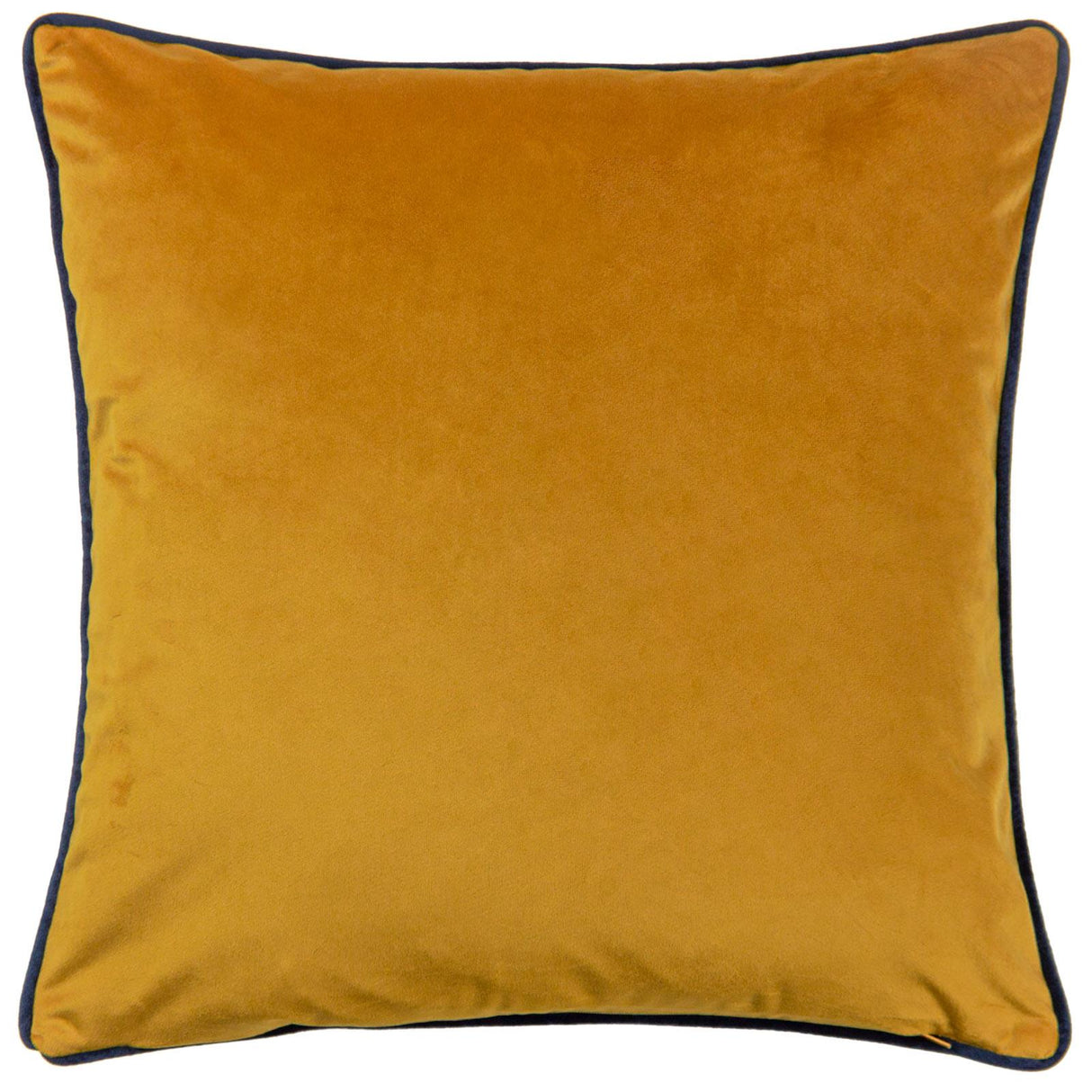Aranya Velvet Cushion Cover 17" x 17" (43cm x 43cm) by Wylder