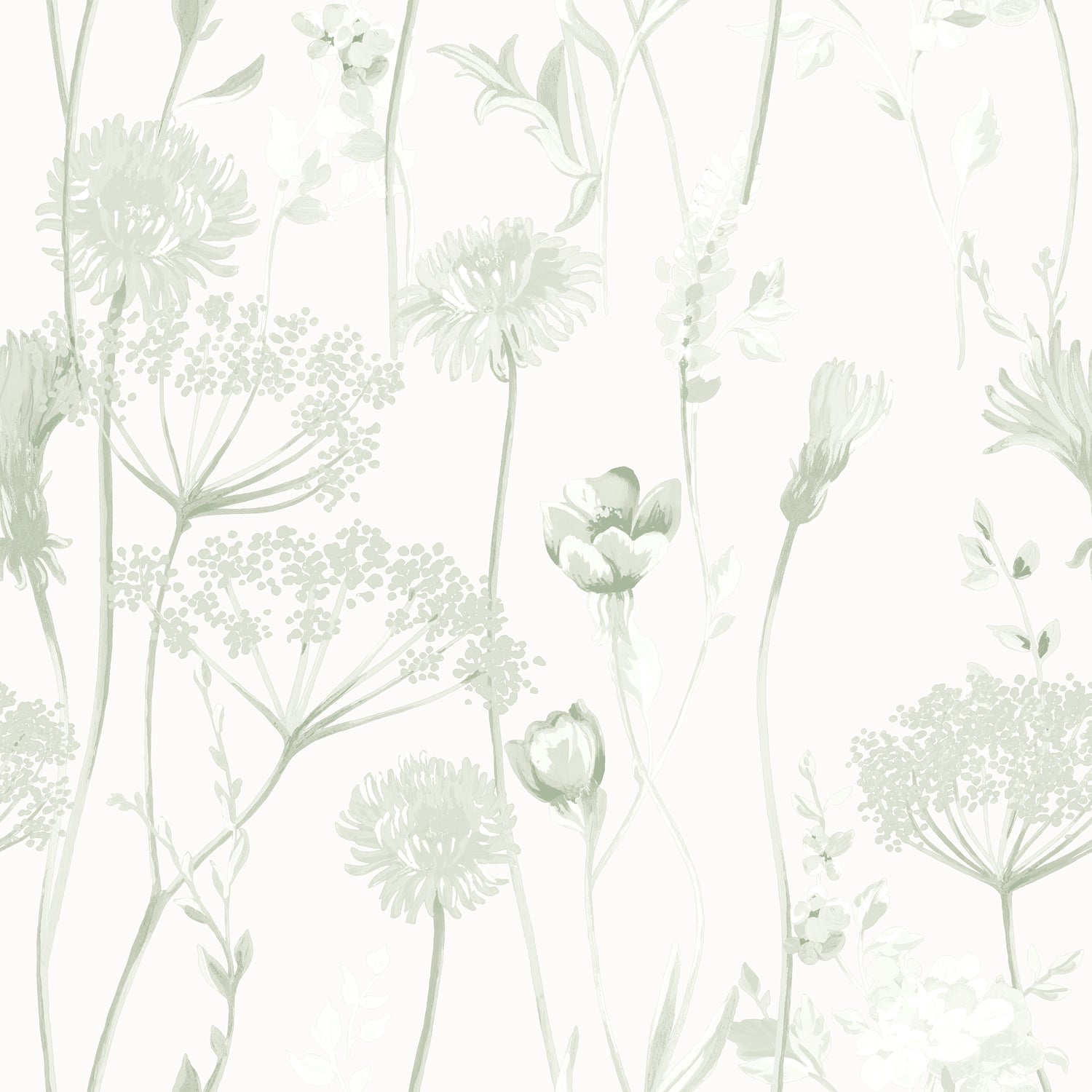 Catherine Lansfield Meadowsweet Floral Wallpaper Blue - Meadowsweet Floral Sage Green Wallpaper