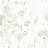 Catherine Lansfield Meadowsweet Floral Wallpaper Blue - Meadowsweet Floral Sage Green Wallpaper