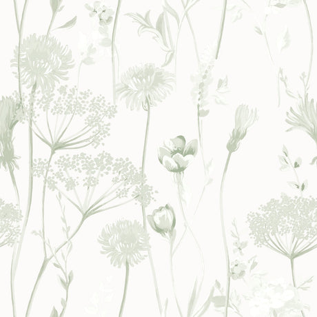Catherine Lansfield Meadowsweet Floral Wallpaper Blue - Meadowsweet Floral Sage Green Wallpaper