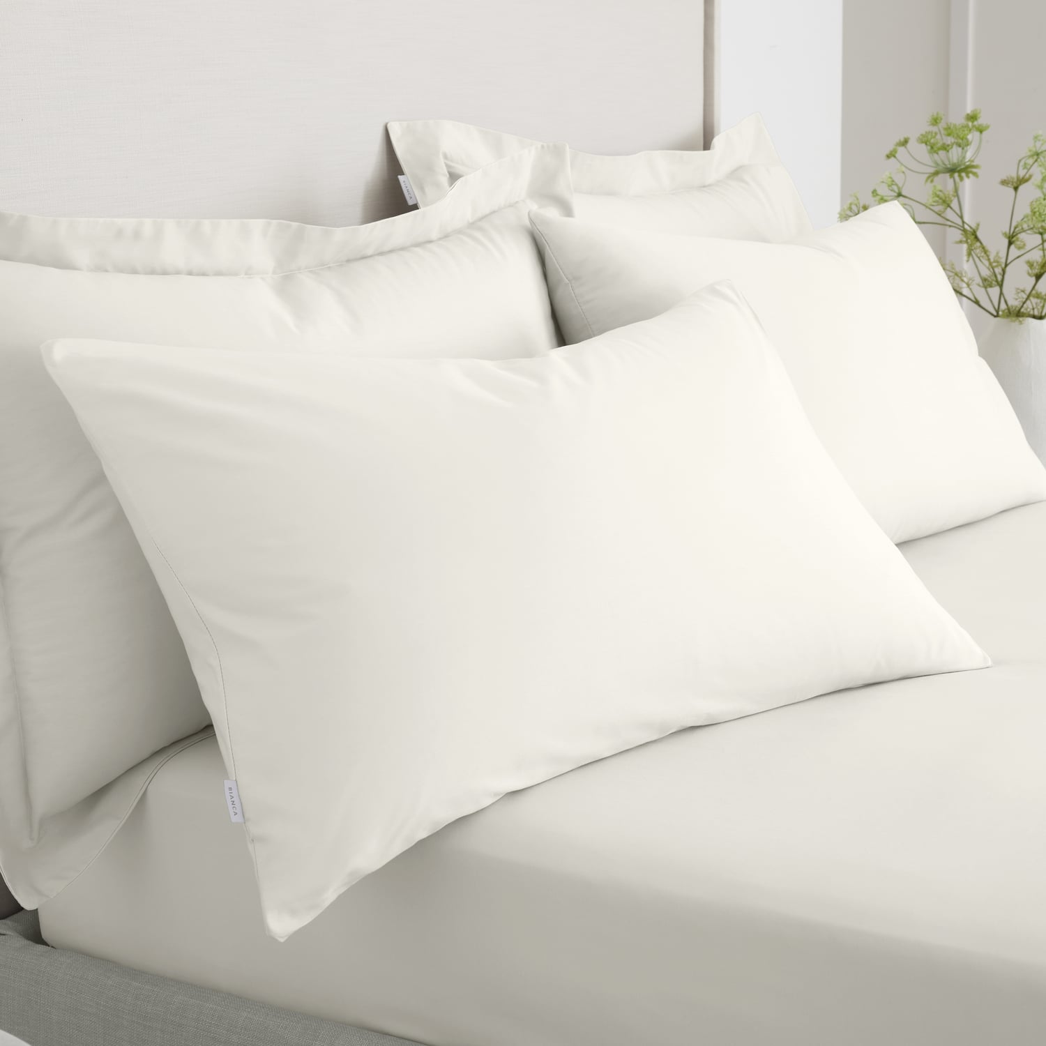 Bianca Fine Linens 200 Thread Count Cotton Percale Pillowcases - 200 Thread Count Percale Standard Pillowcase Pair Cream