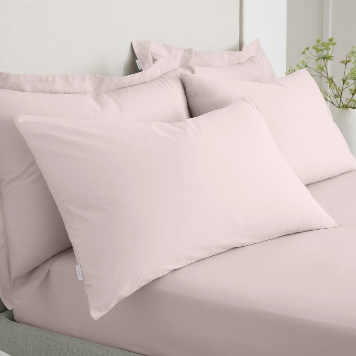 Bianca Fine Linens 200 Thread Count Cotton Percale Pillowcases - ~152521 200 Thread Count Percale Standard Pillowcase Pair Blush