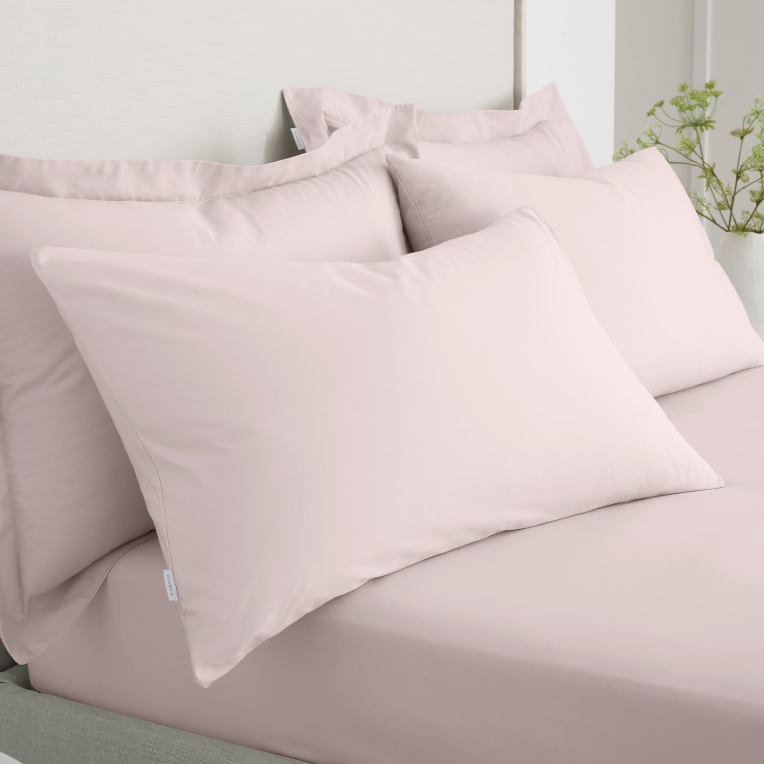 Bianca Fine Linens 200 Thread Count Cotton Percale Pillowcases - ~152521 200 Thread Count Percale Standard Pillowcase Pair Blush