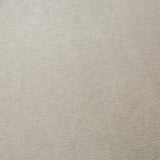 Catherine Lansfield Anti-Bacterial Face Cloth Towel Pair - Natural - Antibacterial Natural