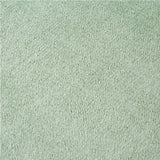 Catherine Lansfield Anti-Bacterial 500gsm Towel - Sage
